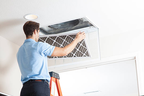 Best Air quality test  in Dilley, TX